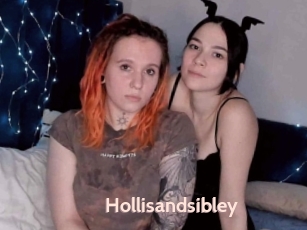 Hollisandsibley