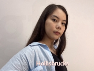 Hollisbrucks