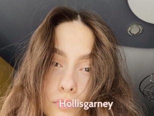 Hollisgarney