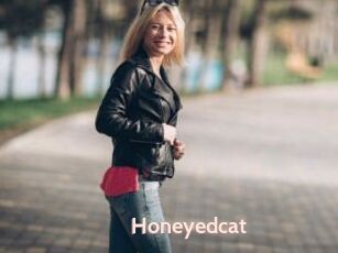 Honeyedcat