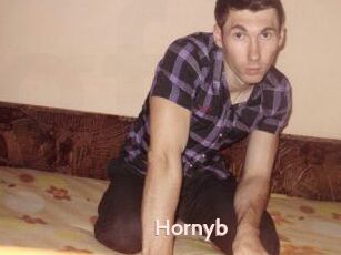 Hornyb