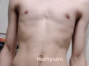 Hornysam