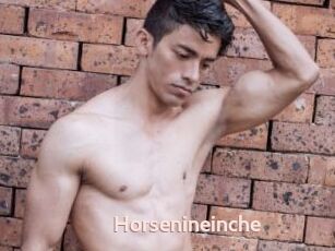 Horsenineinche