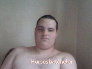 Horsesbatchelor