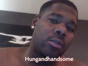 Hungandhandsome