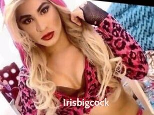 Irisbigcock