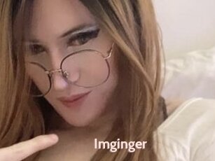 Imginger