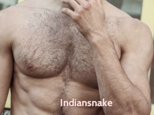 Indiansnake