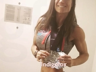Indigofox
