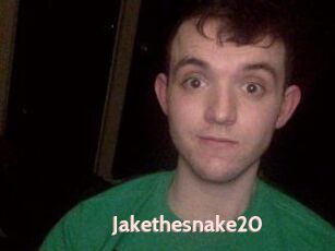 Jakethesnake20