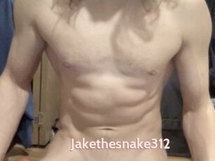 Jakethesnake312