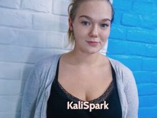 KaliSpark