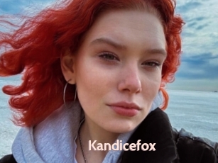 Kandicefox