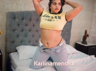 Kariinamendez