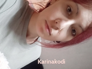 Karinakodi