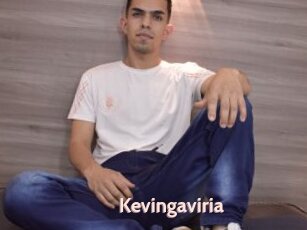 Kevingaviria