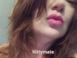 Kittymate