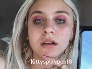 Kittysplaypen18