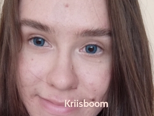 Kriisboom