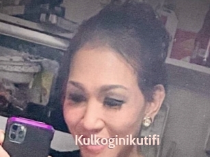 Kulkoginikutifi