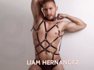 LIAM_HERNANDEZ