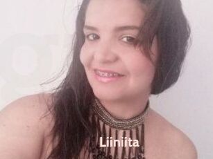 Liiniita