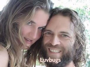 Luvbugs