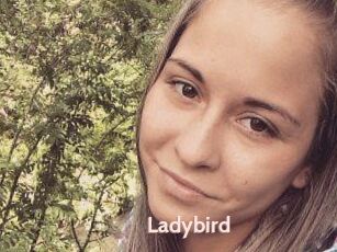 Ladybird