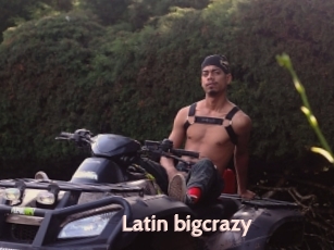 Latin_bigcrazy