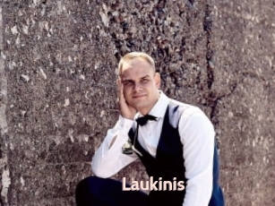 Laukinis