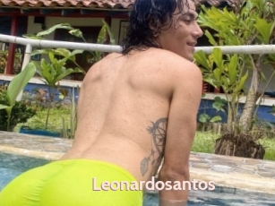 Leonardosantos