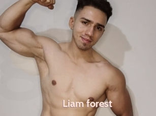 Liam_forest
