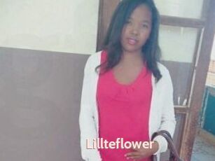 Lillteflower