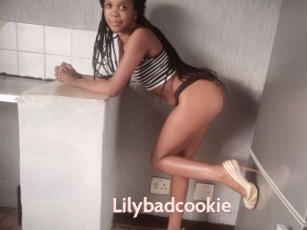 Lilybadcookie