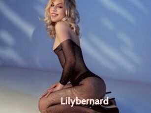 Lilybernard