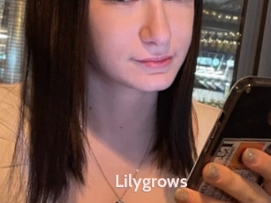 Lilygrows