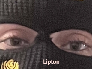 Lipton