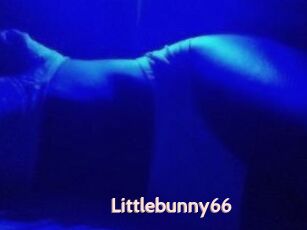 Littlebunny66
