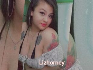 Lizhorney