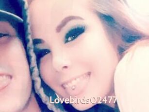 Lovebirds02477
