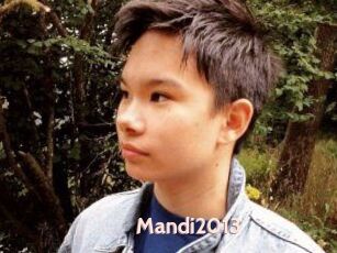 Mandi2013