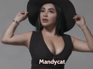 Mandycat