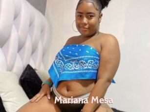 Mariana_Mesa