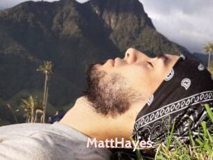 MattHayes