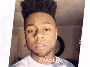 MeesLife