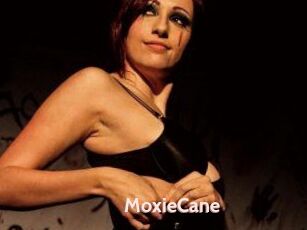 Moxie_Cane