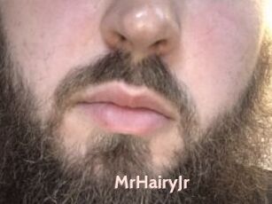 MrHairyJr