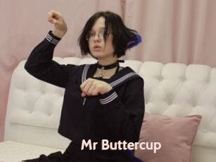 Mr_Buttercup