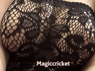 Magiccricket