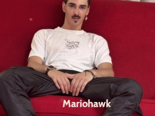 Mariohawk